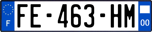 FE-463-HM