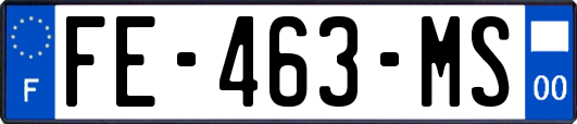 FE-463-MS
