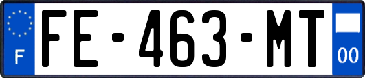 FE-463-MT