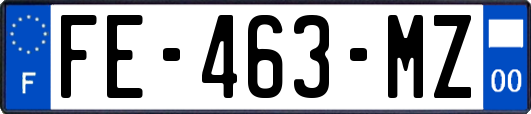 FE-463-MZ