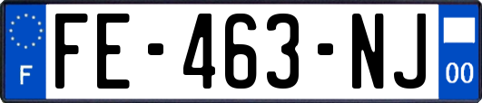FE-463-NJ