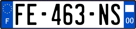 FE-463-NS