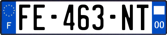 FE-463-NT