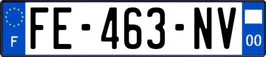 FE-463-NV