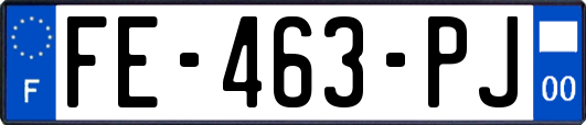 FE-463-PJ