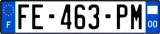 FE-463-PM