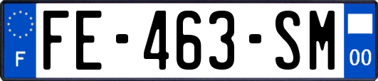 FE-463-SM