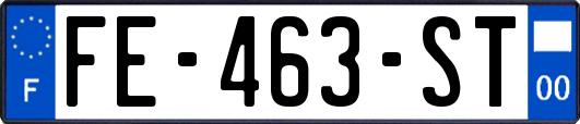 FE-463-ST