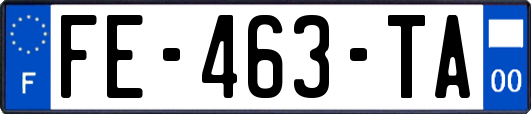 FE-463-TA