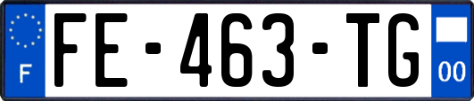 FE-463-TG