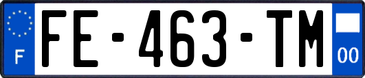 FE-463-TM