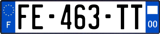 FE-463-TT