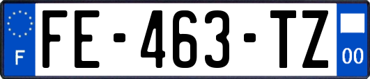 FE-463-TZ
