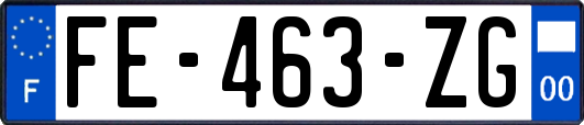 FE-463-ZG