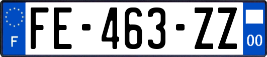 FE-463-ZZ