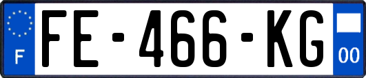 FE-466-KG