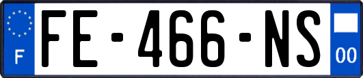 FE-466-NS