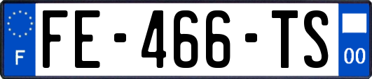 FE-466-TS