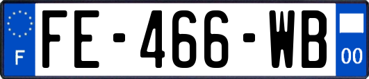FE-466-WB