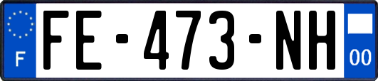 FE-473-NH