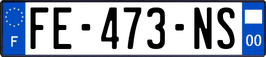 FE-473-NS