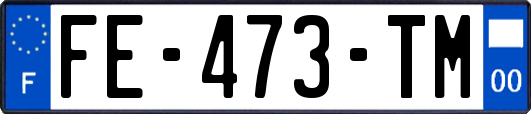 FE-473-TM
