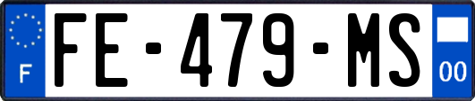 FE-479-MS