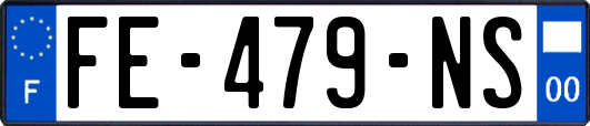 FE-479-NS