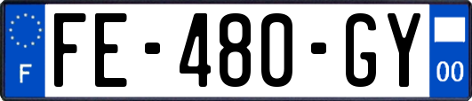 FE-480-GY