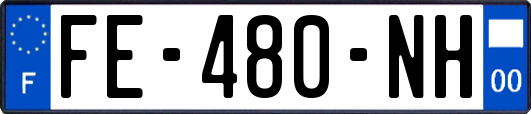 FE-480-NH