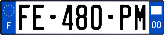 FE-480-PM