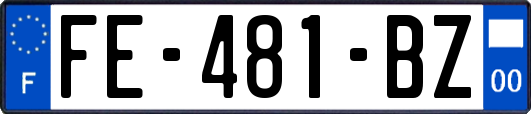 FE-481-BZ