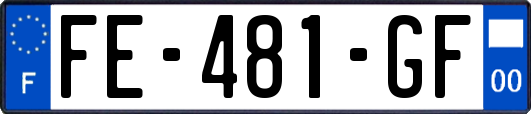 FE-481-GF