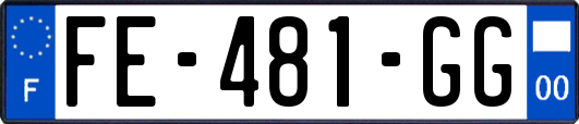 FE-481-GG