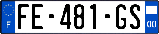 FE-481-GS