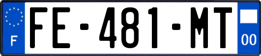 FE-481-MT