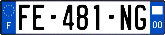 FE-481-NG