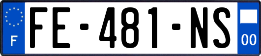 FE-481-NS