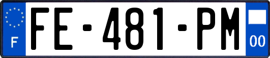 FE-481-PM