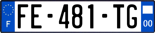 FE-481-TG