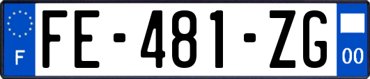 FE-481-ZG