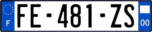 FE-481-ZS