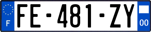 FE-481-ZY