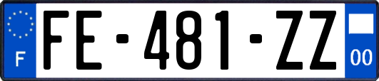 FE-481-ZZ