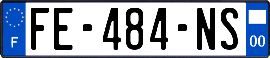 FE-484-NS