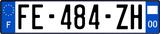FE-484-ZH