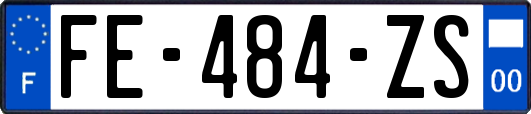 FE-484-ZS