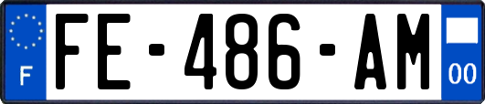 FE-486-AM