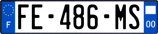 FE-486-MS