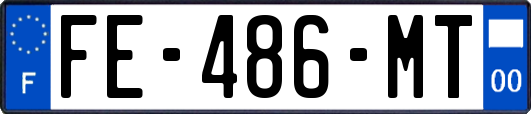 FE-486-MT